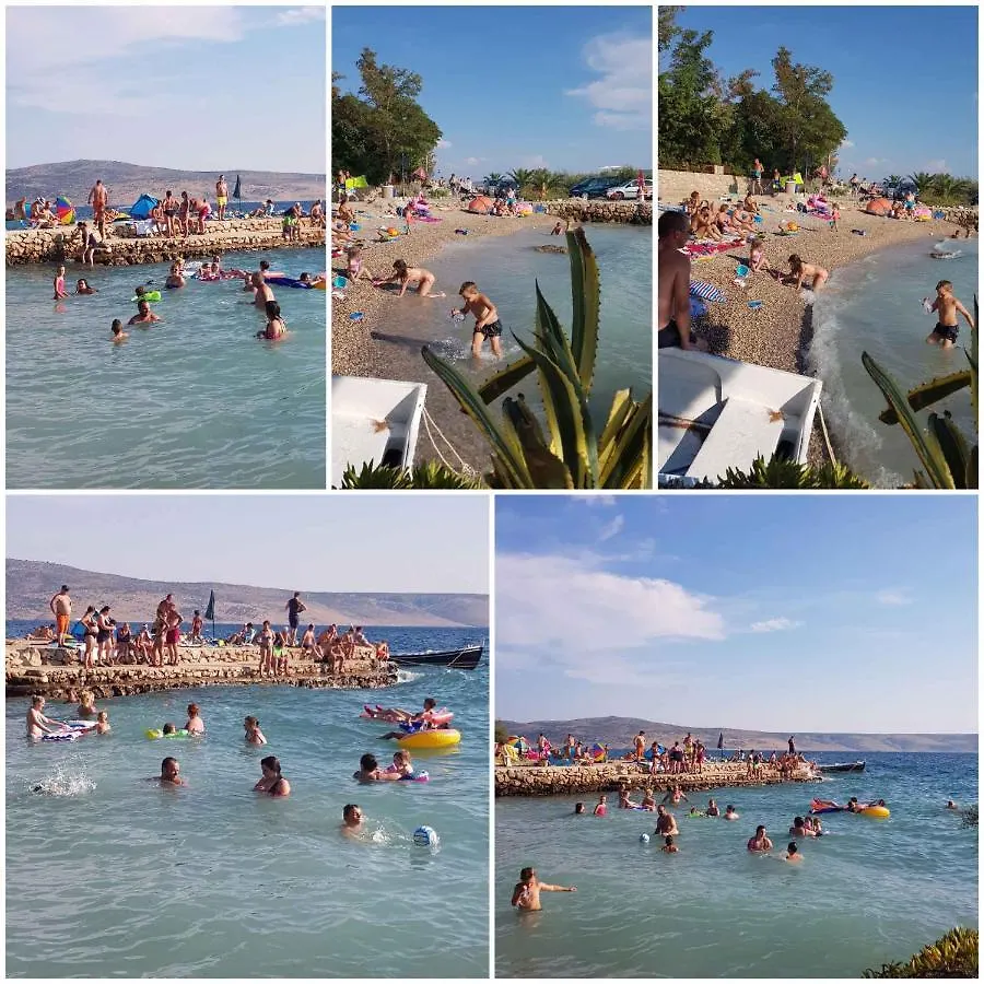 Apartment In Starigrad-Paklenica 36685
